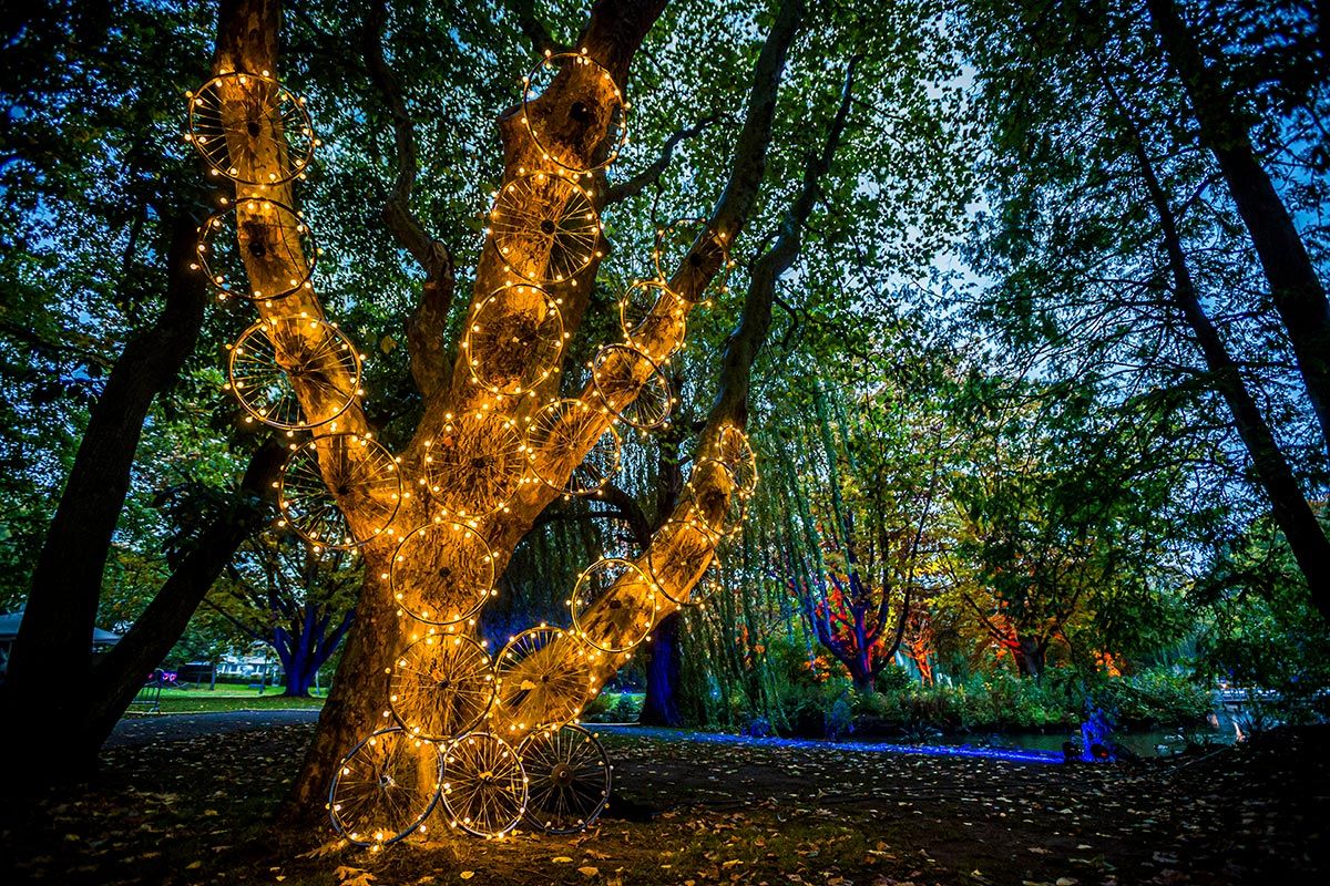 Lichtinstallation Outdoor Außenfläche Baum Kunst Light Ausstellung
