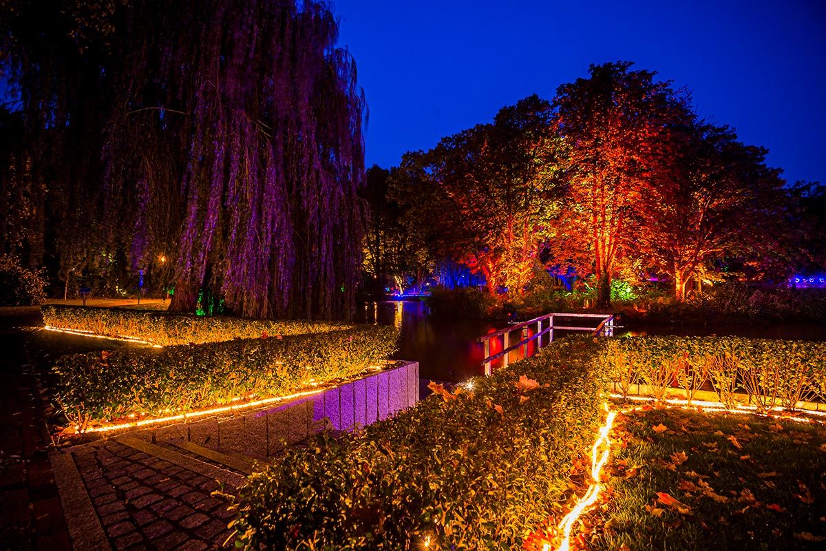 Outdoor Abend Nacht Beleuchtung Lichtinstallation Wald Rundweg