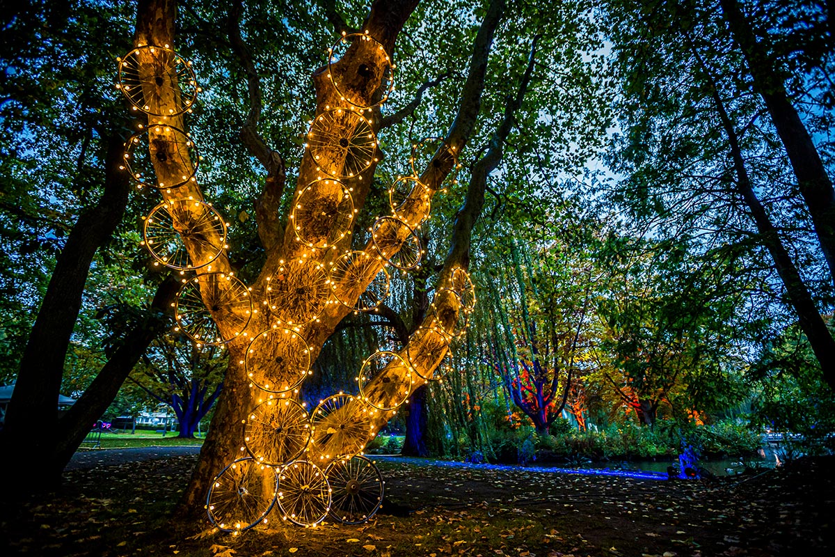 Lichtinstallation Outdoor Außenfläche Baum Kunst Light Ausstellung